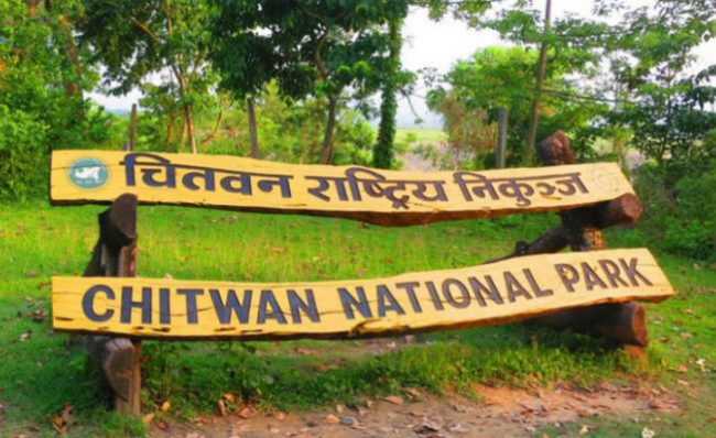 Chitwan-Jungle-Safari (1)
